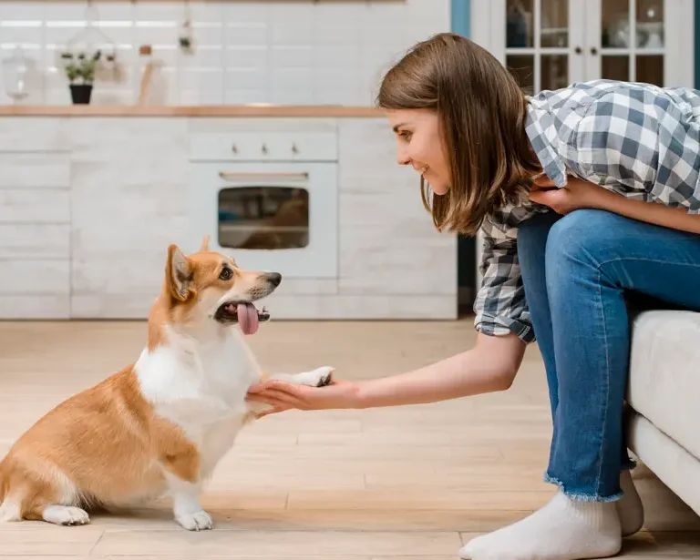 Stop Excessive Dog Barking: A Complete Guide Based on Expert Advice