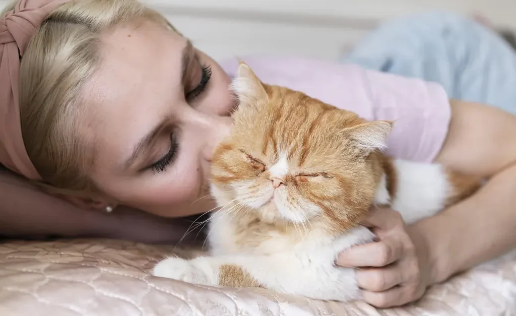 Cat bunting and rubbing face against owner  sign of trust and bonding