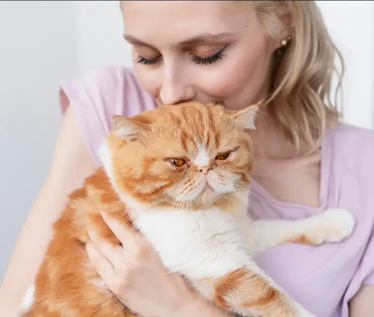 Why does my cat headbutt me? What it really means