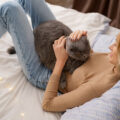 Why does my cat lay on my chest? What it really means