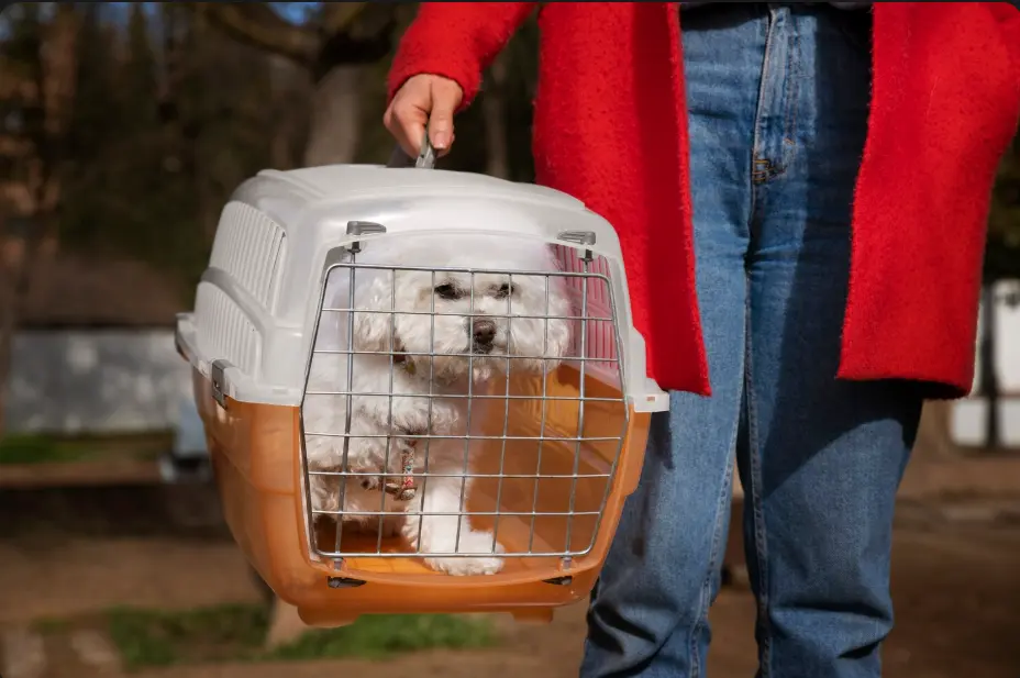 Anxious dog in a crate showing signs of stress

