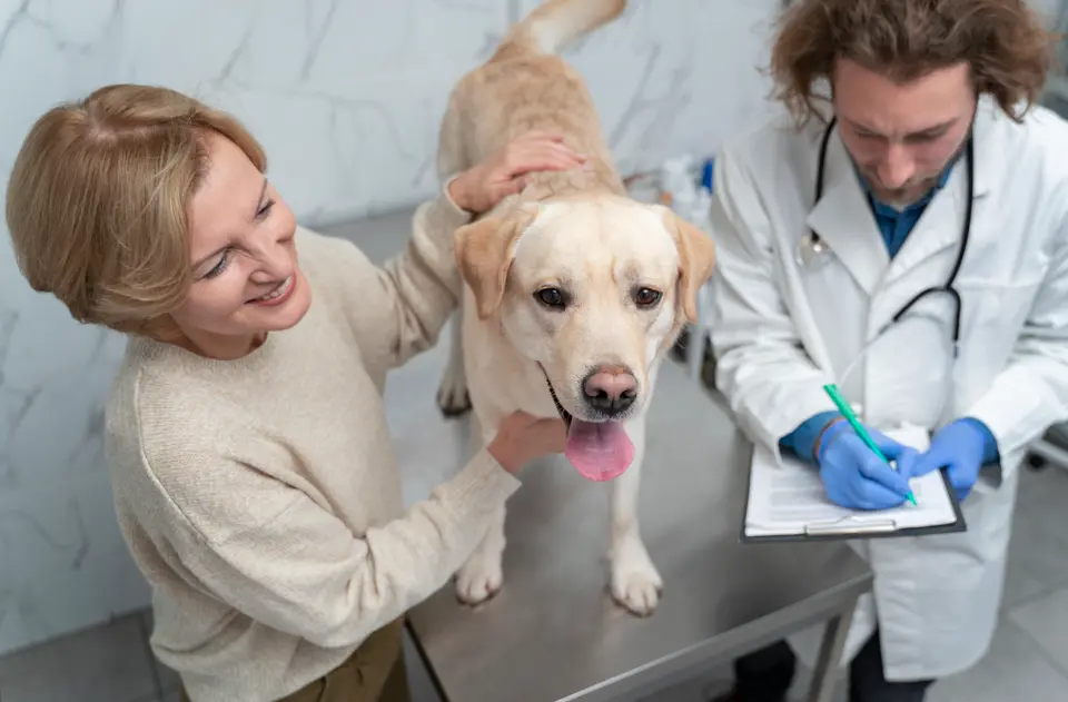 senior dog vet visit twice yearly bloodwork checkup